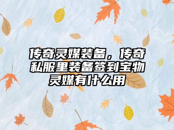 传奇灵媒装备，传奇私服里装备签到宝物灵媒有什么用