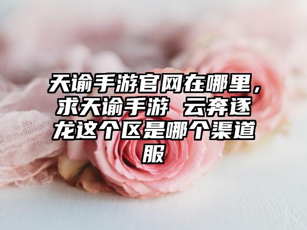 天谕手游官网在哪里，求天谕手游 云奔逐龙这个区是哪个渠道服