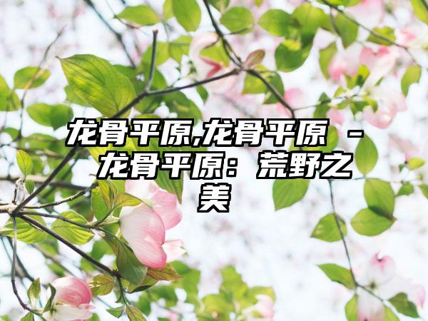 龙骨平原,龙骨平原 - 龙骨平原：荒野之美