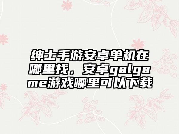 绅士手游安卓单机在哪里找，安卓galgame游戏哪里可以下载