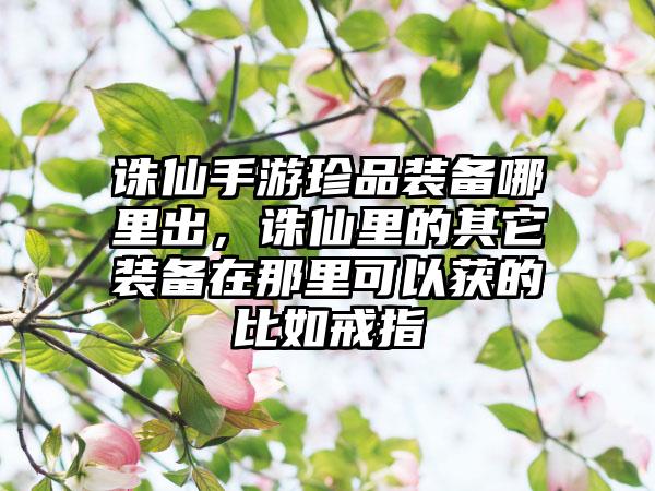 诛仙手游珍品装备哪里出，诛仙里的其它装备在那里可以获的比如戒指