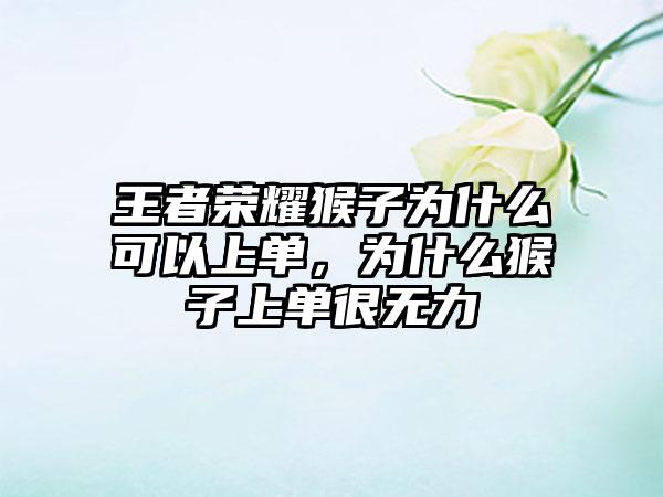 王者荣耀猴子为什么可以上单，为什么猴子上单很无力