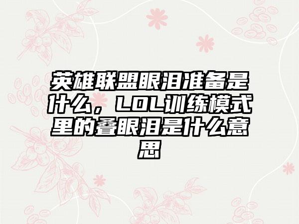 英雄联盟眼泪准备是什么，LOL训练模式里的叠眼泪是什么意思