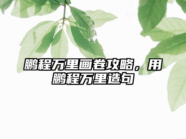 鹏程万里画卷攻略，用鹏程万里造句