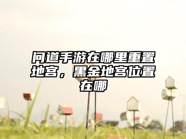 问道手游在哪里重置地宫，黑金地宫位置在哪