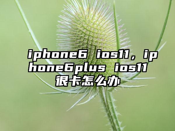 iphone6 ios11，iphone6plus ios11很卡怎么办