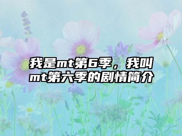 我是mt第6季，我叫mt第六季的剧情简介