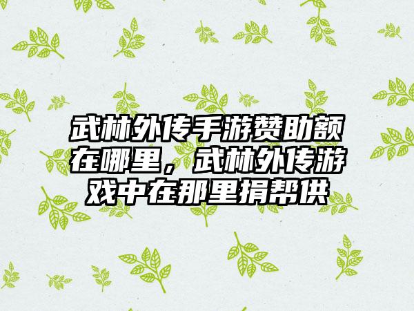 武林外传手游赞助额在哪里，武林外传游戏中在那里捐帮供