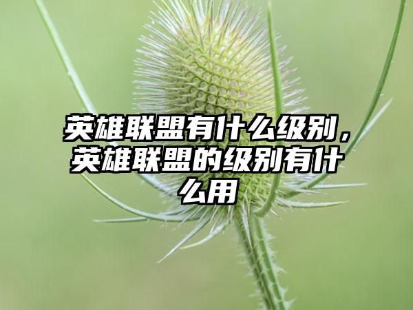 英雄联盟有什么级别，英雄联盟的级别有什么用