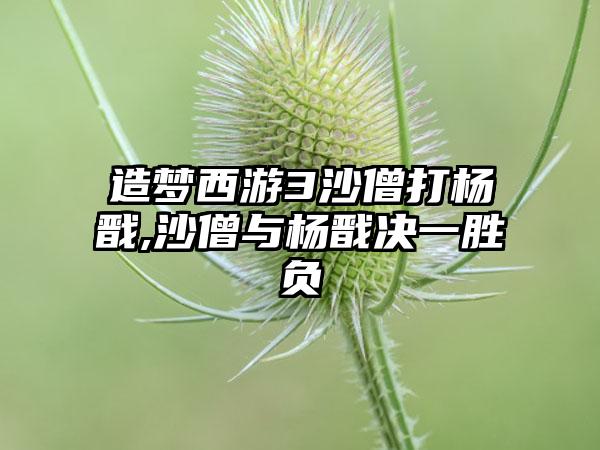 造梦西游3沙僧打杨戬,沙僧与杨戬决一胜负