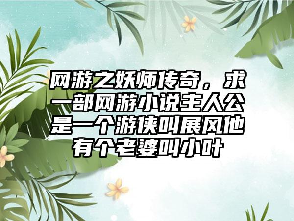 网游之妖师传奇，求一部网游小说主人公是一个游侠叫展风他有个老婆叫小叶