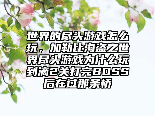 世界的尽头游戏怎么玩，加勒比海盗之世界尽头游戏为什么玩到滴2关打完BOSS后在过那条桥