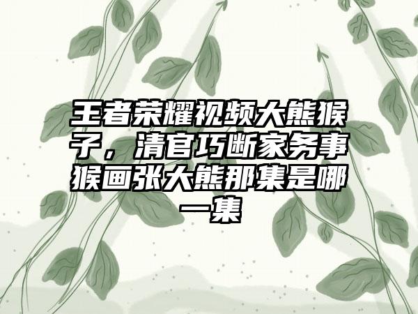 王者荣耀视频大熊猴子，清官巧断家务事猴画张大熊那集是哪一集