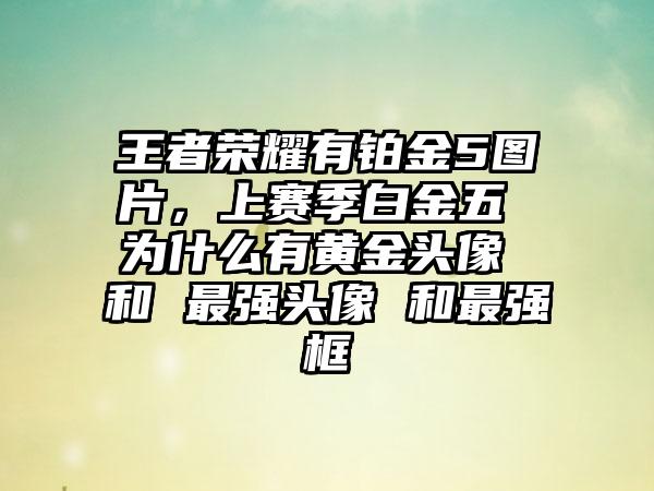 王者荣耀有铂金5图片，上赛季白金五 为什么有黄金头像 和 最强头像 和最强框