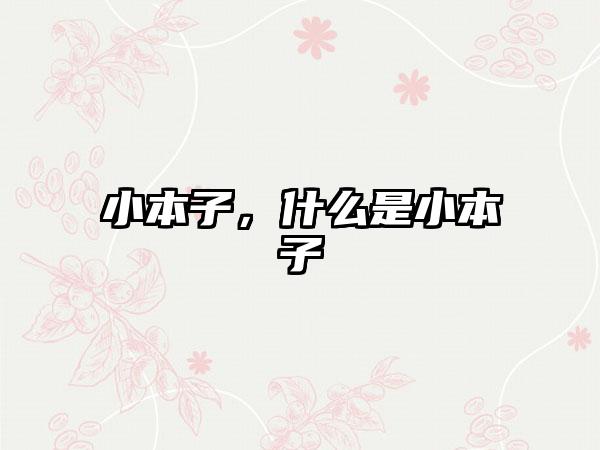 小本子，什么是小本子