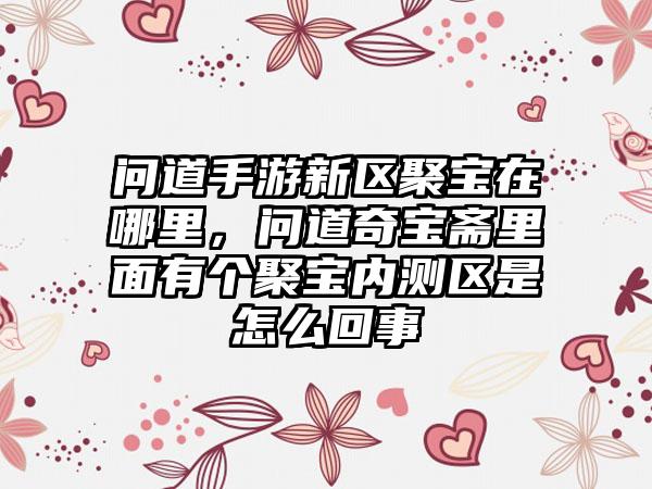 问道手游新区聚宝在哪里，问道奇宝斋里面有个聚宝内测区是怎么回事