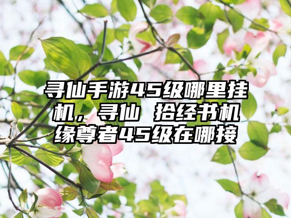 寻仙手游45级哪里挂机，寻仙 拾经书机缘尊者45级在哪接