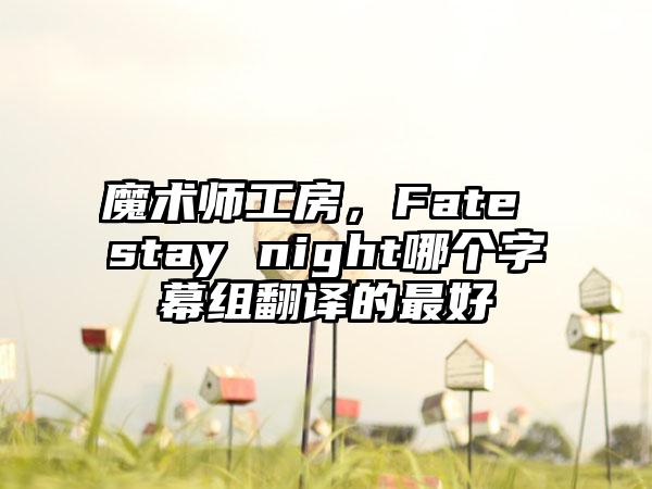 魔术师工房，Fate stay night哪个字幕组翻译的最好