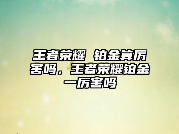 王者荣耀 铂金算厉害吗，王者荣耀铂金一厉害吗