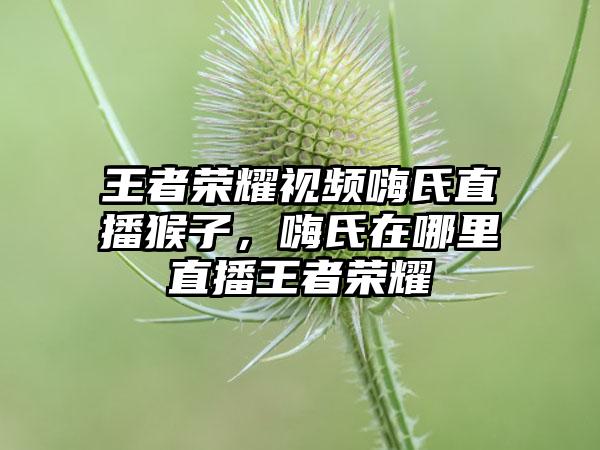 王者荣耀视频嗨氏直播猴子，嗨氏在哪里直播王者荣耀