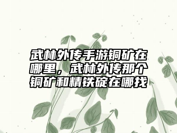 武林外传手游铜矿在哪里，武林外传那个铜矿和精铁碇在哪找