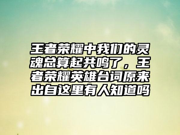 王者荣耀中我们的灵魂总算起共鸣了，王者荣耀英雄台词原来出自这里有人知道吗