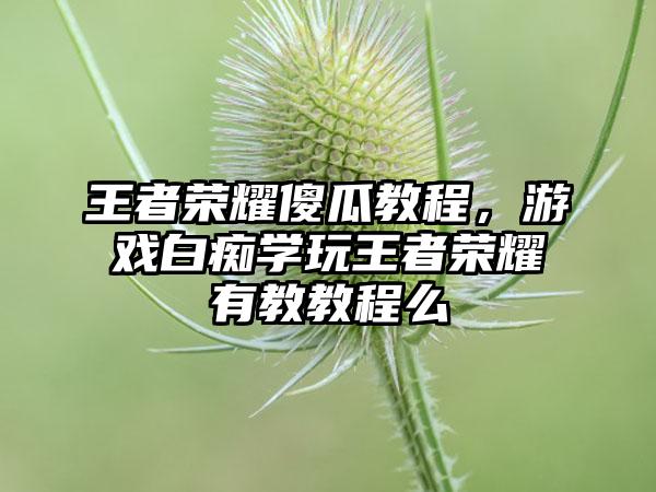 王者荣耀傻瓜教程，游戏白痴学玩王者荣耀有教教程么