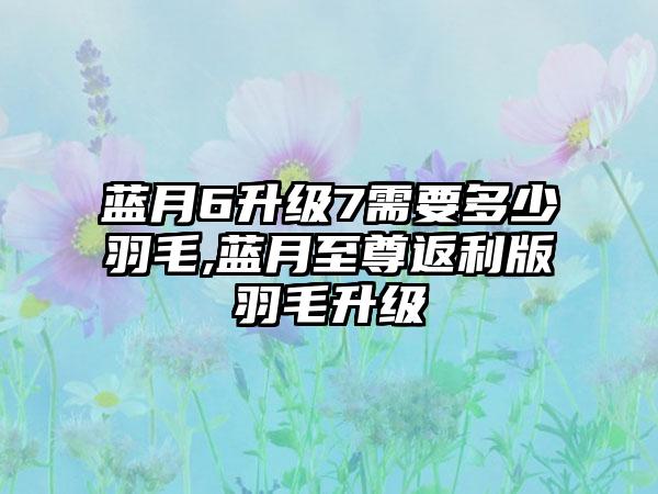 蓝月6升级7需要多少羽毛,蓝月至尊返利版羽毛升级