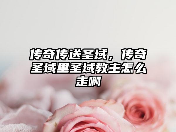 传奇传送圣域，传奇圣域里圣域教主怎么走啊
