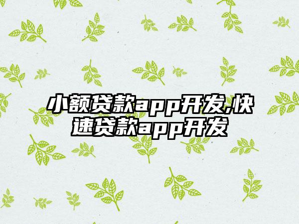 小额贷款app开发,快速贷款app开发