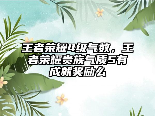 王者荣耀4级气数，王者荣耀贵族气质5有成就奖励么