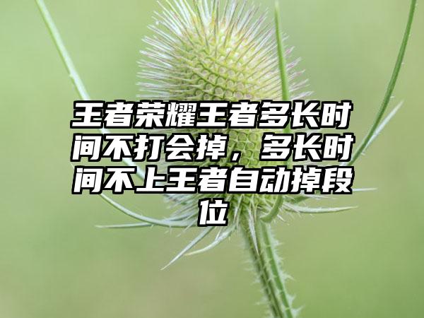 王者荣耀王者多长时间不打会掉，多长时间不上王者自动掉段位