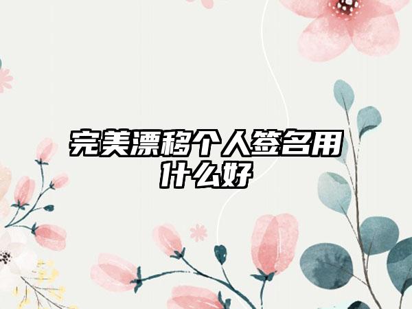 完美漂移个人签名用什么好