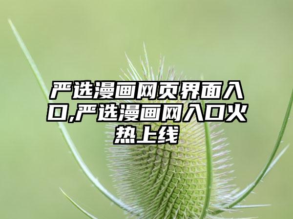 严选漫画网页界面入口,严选漫画网入口火热上线