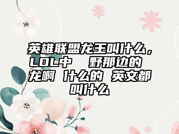 英雄联盟龙王叫什么，LOL中  野那边的 龙啊 什么的 英文都叫什么