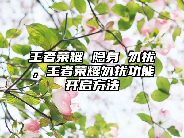 王者荣耀 隐身 勿扰,王者荣耀勿扰功能开启方法