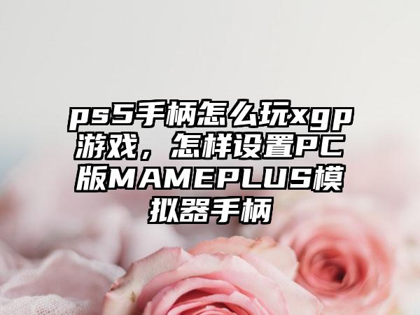 ps5手柄怎么玩xgp游戏，怎样设置PC版MAMEPLUS模拟器手柄