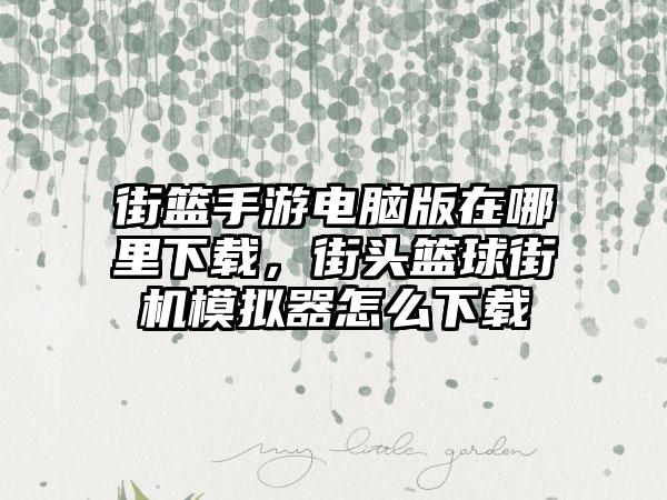 街篮手游电脑版在哪里下载，街头篮球街机模拟器怎么下载