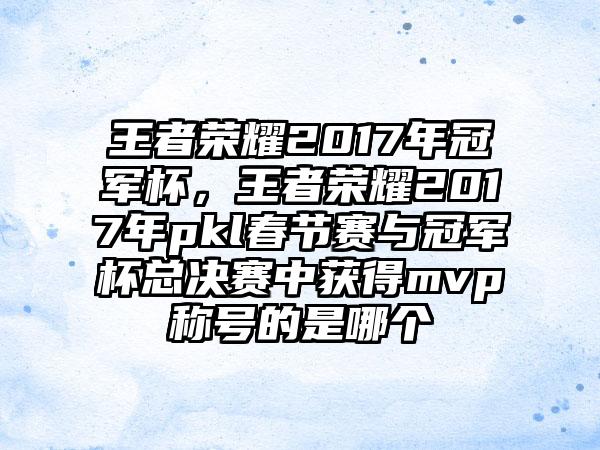王者荣耀2017年冠军杯，王者荣耀2017年pkl春节赛与冠军杯总决赛中获得mvp称号的是哪个