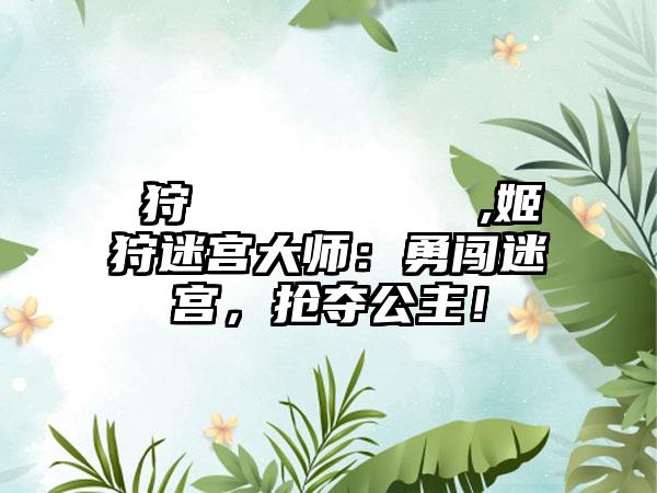 姫狩りダンジョンマイスター,姬狩迷宫大师：勇闯迷宫，抢夺公主！