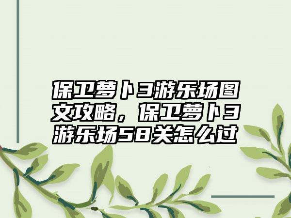 保卫萝卜3游乐场图文攻略，保卫萝卜3游乐场58关怎么过