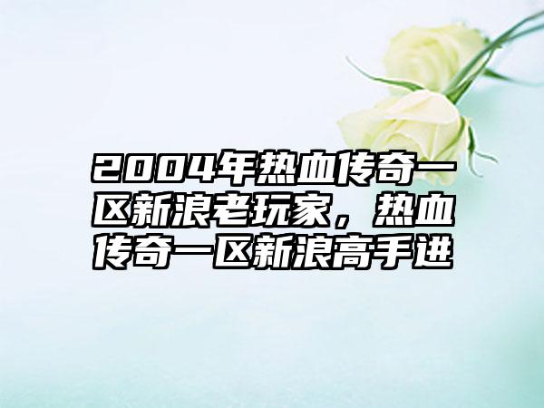 2004年热血传奇一区新浪老玩家，热血传奇一区新浪高手进