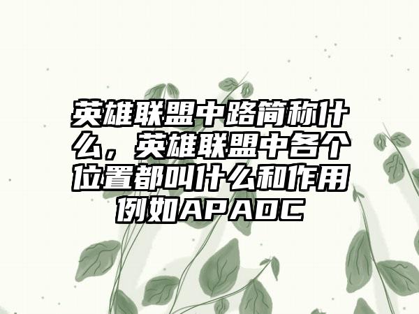 英雄联盟中路简称什么，英雄联盟中各个位置都叫什么和作用例如APADC