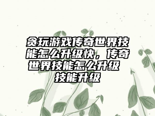 贪玩游戏传奇世界技能怎么升级快，传奇世界技能怎么升级 技能升级