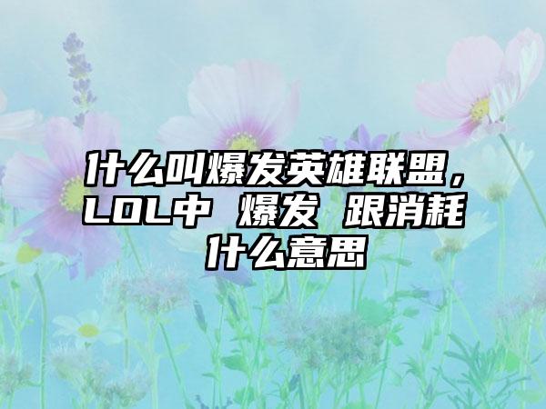 什么叫爆发英雄联盟，LOL中 爆发 跟消耗 什么意思