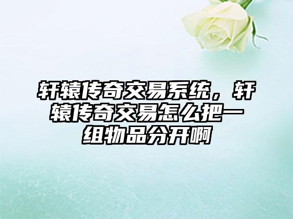 轩辕传奇交易系统，轩辕传奇交易怎么把一组物品分开啊