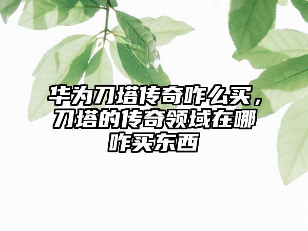 华为刀塔传奇咋么买，刀塔的传奇领域在哪咋买东西