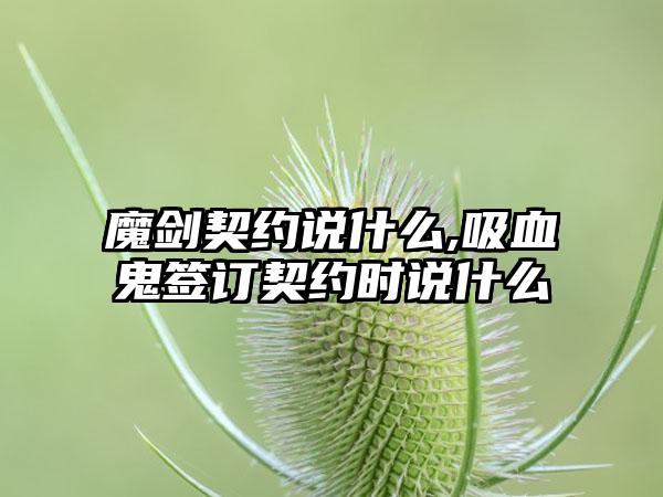 魔剑契约说什么,吸血鬼签订契约时说什么