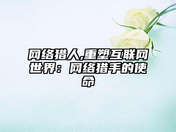 网络猎人,重塑互联网世界：网络猎手的使命