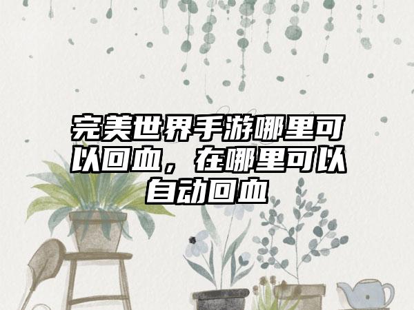 完美世界手游哪里可以回血，在哪里可以自动回血